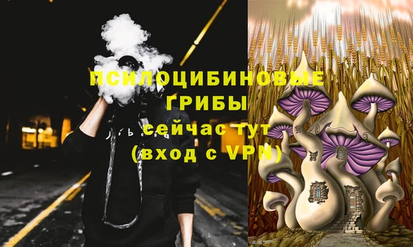 экстази Баксан