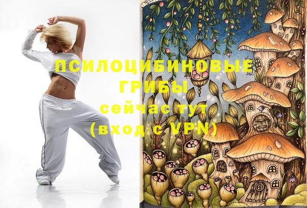 мдпв Аркадак